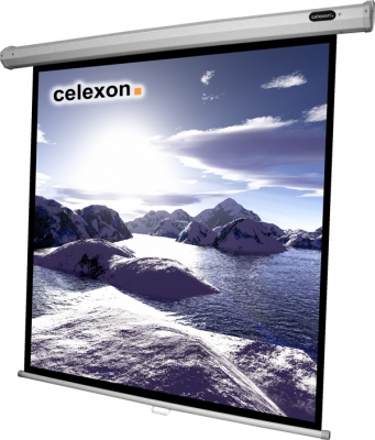 Celexon - Economy - 280cm x 280cm - 1:1 - Manual Projector Screen
