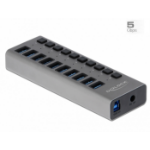 DeLOCK External 5 Gbps USB Hub with 10 Ports + Switch