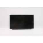 Lenovo 15.6" WQHD gming lpop