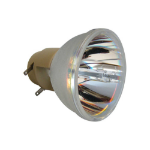 ECL-6181-PG - Projector Lamps -