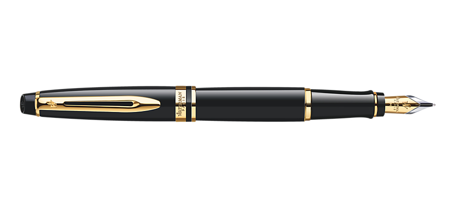 Waterman Expert fountain pen Black 1 pc(s)