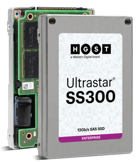 Western Digital Ultrastar SS300 2.5
