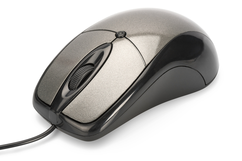 Image of Ednet 81046 mouse Ambidextrous USB Type-A Optical 800 DPI