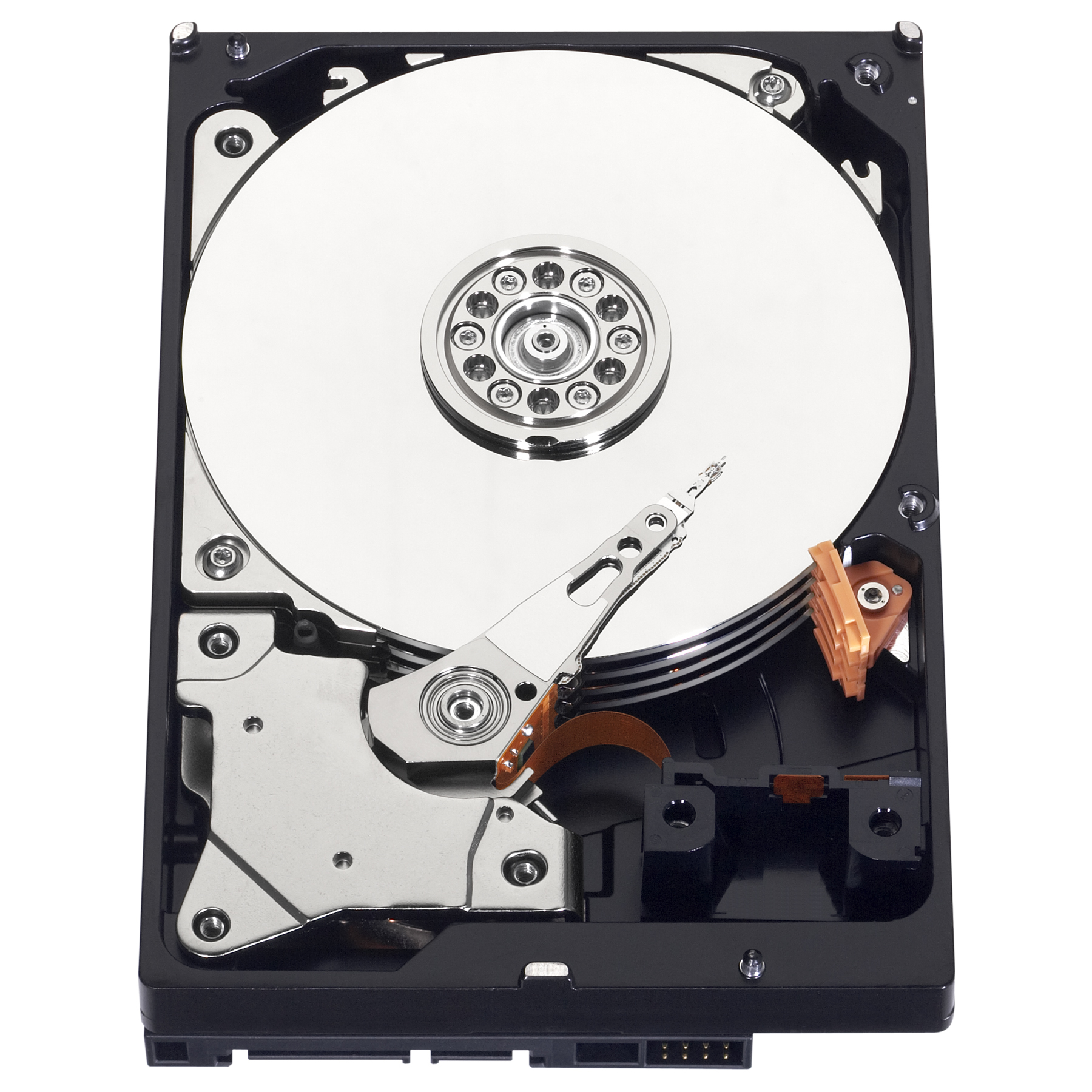 Western digital stock options