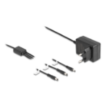 DeLOCK 41466 netvoeding & inverter Binnen 10 W Zwart