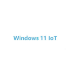 Advantech Win 11 IoT Ent Commercial 1 license(s) Electronic Software Download (ESD) English 2 year(s) 24 month(s)