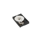 DELL 400-26810 interne harde schijf 4 TB 7200 RPM 3.5" SATA II