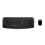 HP Wireless Keyboard and Mouse 300