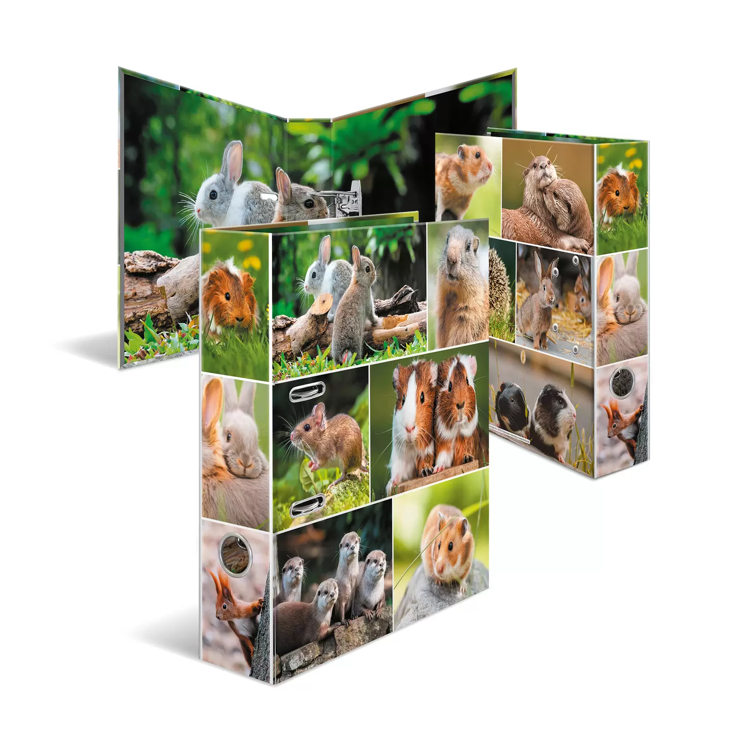 Image of HERMA 19252 ring binder A4 Multicolour