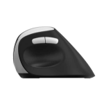 Rapoo EV250 mouse Office Right-hand RF Wireless Optical 1600 DPI