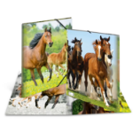 HERMA 7145 folder Polypropylene (PP) Multicolour A3