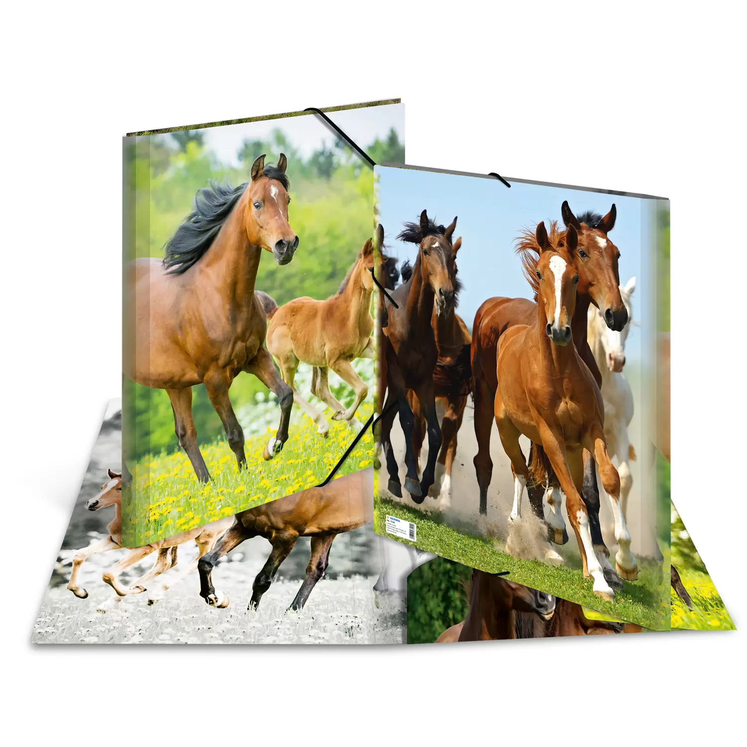 HERMA 7145 folder Polypropylene (PP) Multicolour A3