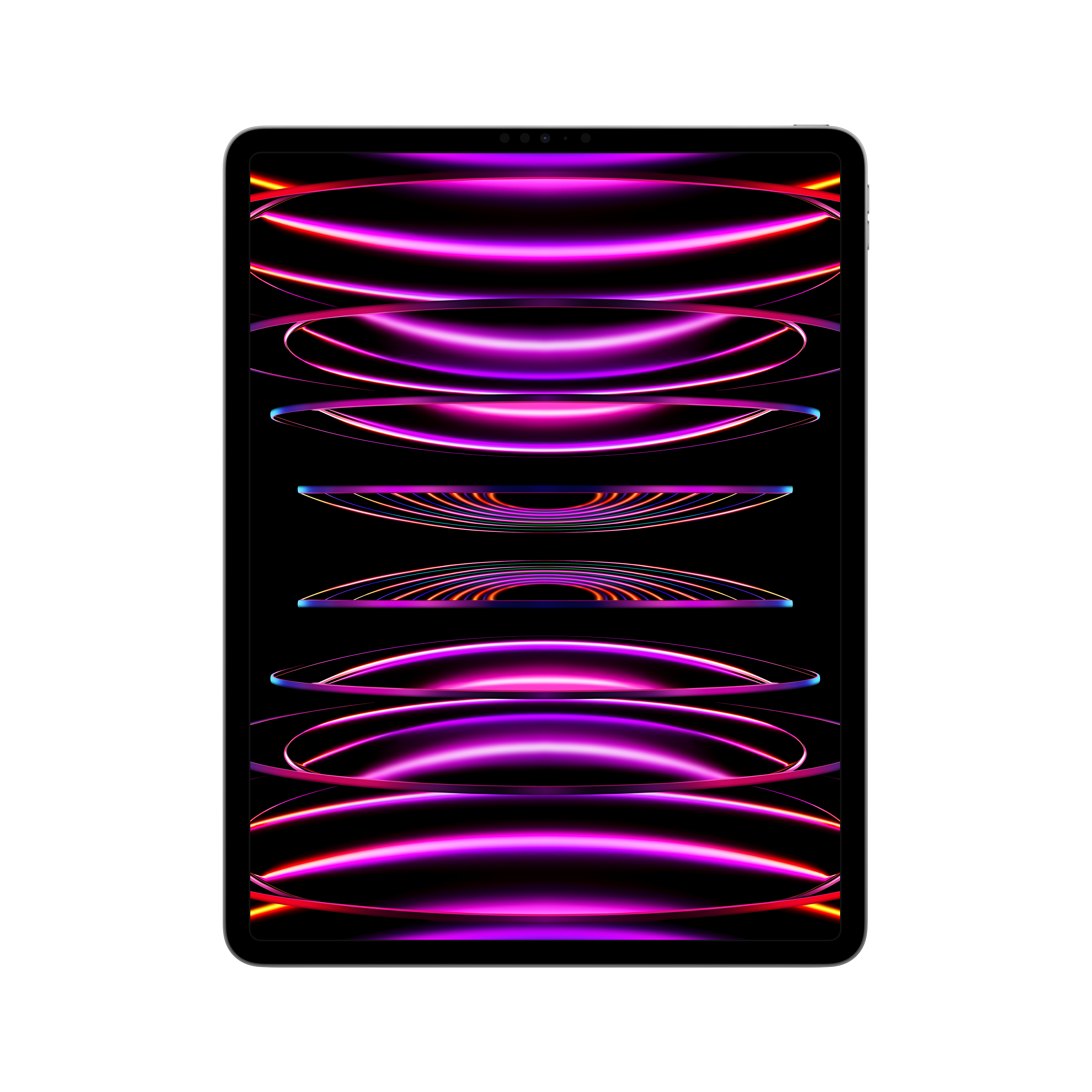 Image of Apple iPad Pro 6th Gen 12.9in Wi-Fi 256GB - Space Grey