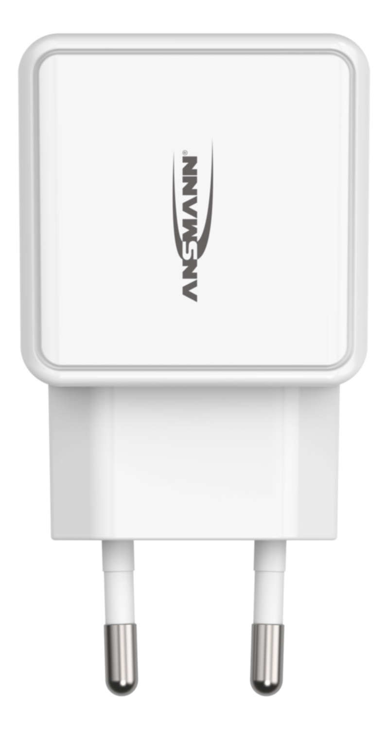 Image of Ansmann HC212 White Indoor