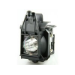 MicroScreen Projector Lamp for IBM
