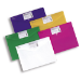 Snopake Polyfile ID - Bright Assorted, A4 Polypropylene (PP)