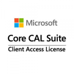 Microsoft Core CAL Open Value Subscription (OVS) 1 license(s) Multilingual  Chert Nigeria