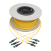 Tripp Lite N392-61M-3X8-AP InfiniBand/fibre optic cable 2401.6" (61 m) MTP OFNP Yellow