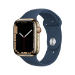 Apple Watch Series 7 45 mm OLED 4G Gold GPS (satellite)