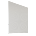 Biamp DC220T White Full range Wired