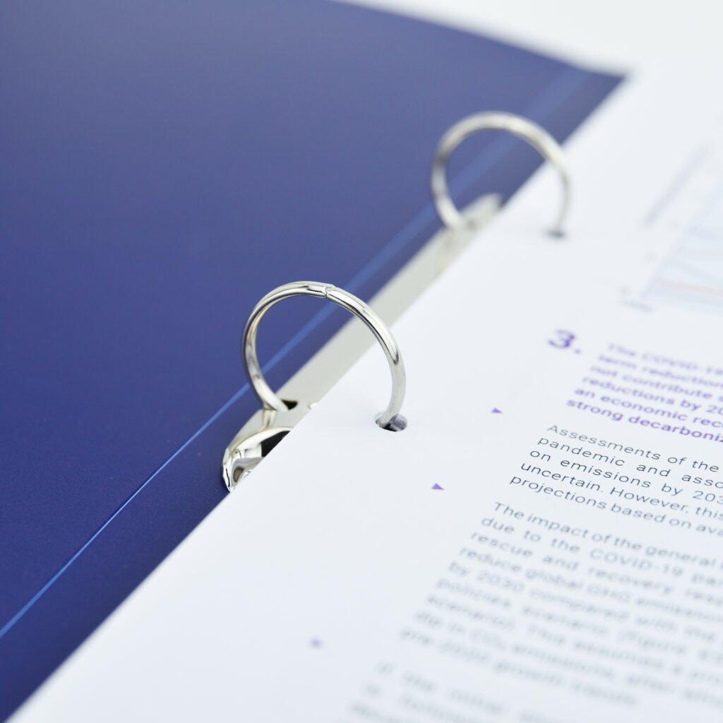 Rapesco 1658 ring binder A4 Multicolour