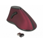 DeLOCK 12528 mouse Right-hand RF Wireless Optical 1000 DPI