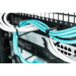 Digitus Cable Management Panel with Brush Entries for 483 mm (19") Cabinets, 1U