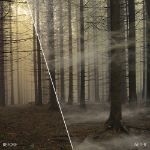 Corel ParticleShop Graphic editor Volledig