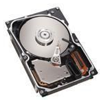 IBM 300GB SAS 3.5" internal hard drive 10000 RPM 3.5"