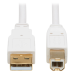 Tripp Lite U022AB-006-WH USB cable USB 2.0 72" (1.83 m) USB A USB B White