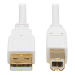Tripp Lite U022AB-010-WH USB cable 120.1" (3.05 m) USB 2.0 USB A USB B White