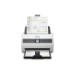 Epson WorkForce B11B250201 scanner Sheet-fed scanner 600 x 600 DPI A3 Black, White