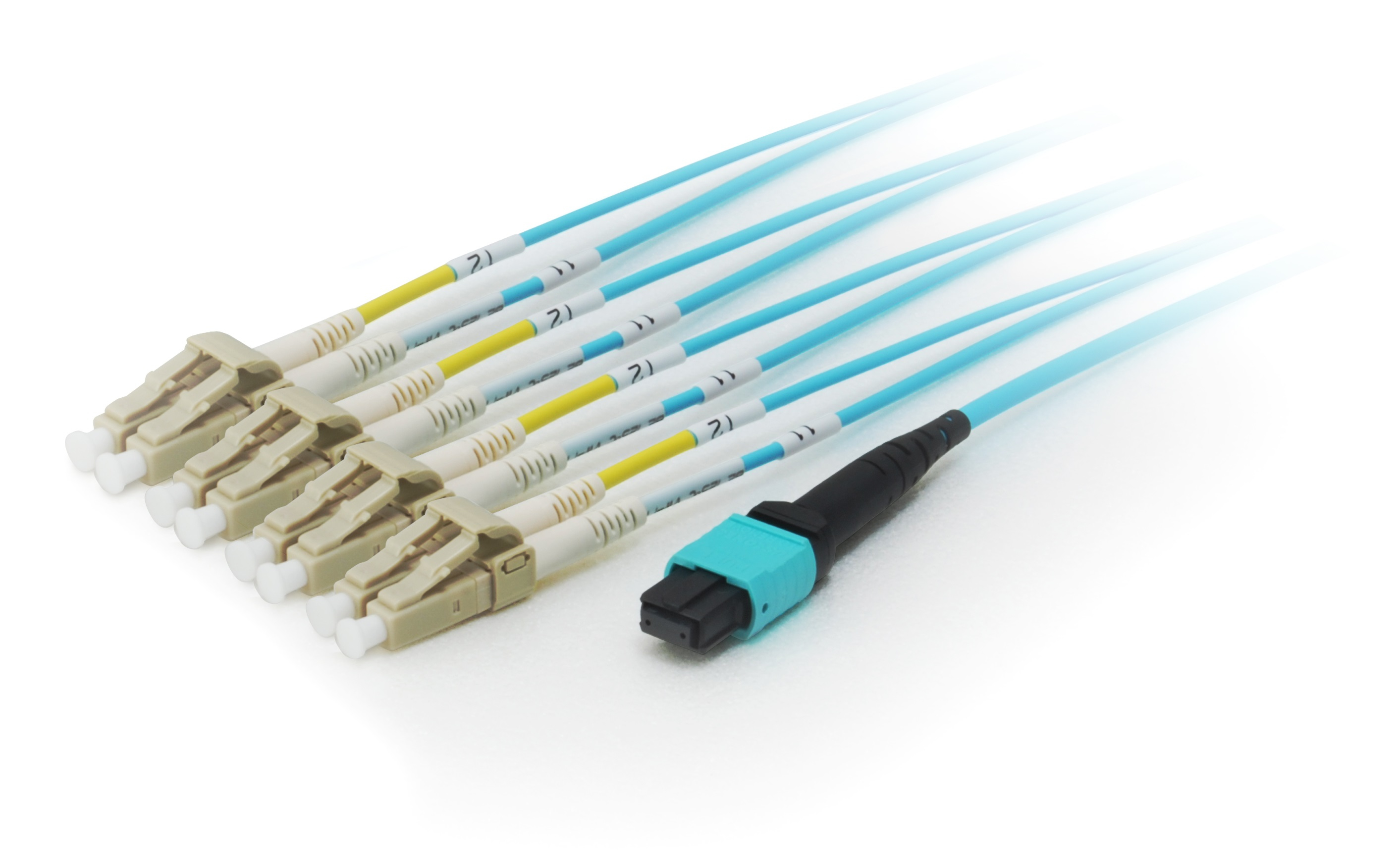 Image of Equip MTP/MTP Trunk Fiber Optic Patch Cable, OM4, 3m