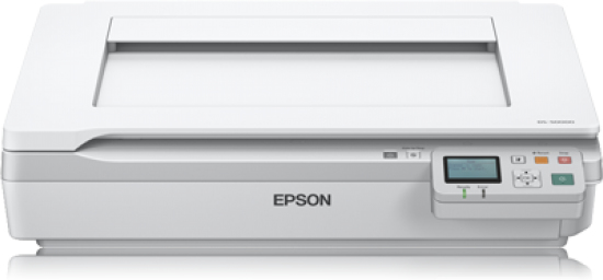 Image of Epson WorkForce DS-50000N Flatbed scanner 600 x 600 DPI A3 White