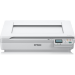 Epson WorkForce DS-50000N Flatbed scanner 600 x 600 DPI A3 White