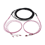 Synergy 21 S217066 InfiniBand/fibre optic cable 170 m 4x LC U-DQ(ZN) BH Black, Violet