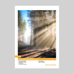 DPSB Innova Resin Coated Photo Lustre - A4 x 50 Sheets - 260gsm