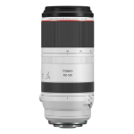 Canon RF 100-500mm F4.5-7.1L IS USM Lens