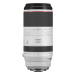 Canon RF 100-500mm F4.5-7.1L IS USM Lens