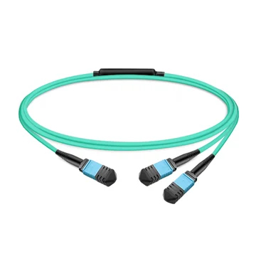 - Network cable - MPO-12/APC multi-mode to MPO-12/APC muti-mode - 5 m - 5 m - fibre optic - passive thumbnail
