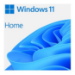 Microsoft WIN HOME 11 64-BIT ENG INTL USB