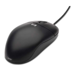 HP 570580-001 mouse USB Type-A Laser