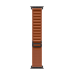 Apple MG9E4ZM/A smart wearable accessory Band Brown Titanium, Polyester, Spandex