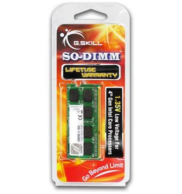 G.Skill 4GB DDR3-1600 memory module 1 x 4 GB