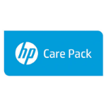 Hewlett Packard Enterprise U1JZ2PE IT support service