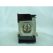 Diamond Lamps Lamp for PANASONIC PT-AE8000:PT-AT6000:PT-AE8000EZ Projector