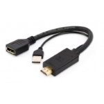 Gembird A-HDMIM-DPF-01 video cable adapter 0.1 m HDMI Type A (Standard) DisplayPort + USB Type-A Black