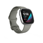 Fitbit FB512SRSG-FRCJK smartwatch / sport watch AMOLED Silver, Stainless steel GPS (satellite)