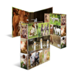 HERMA 19253 ring binder A4 Multicolour