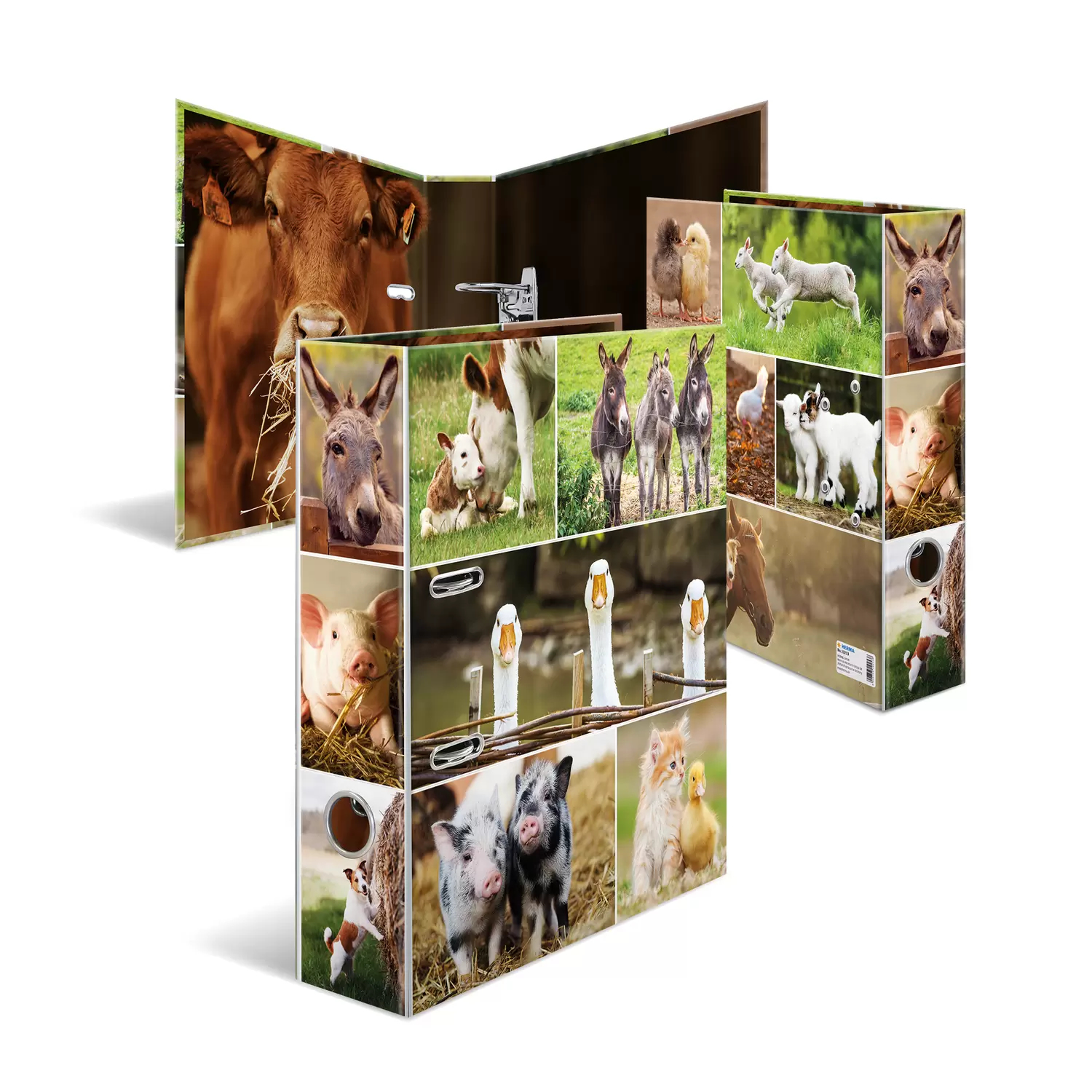 HERMA 19253 ring binder A4 Multicolour